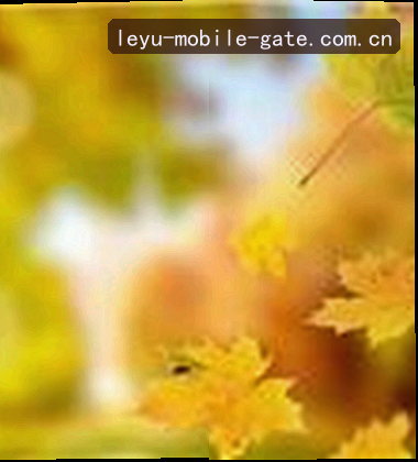 吴敏